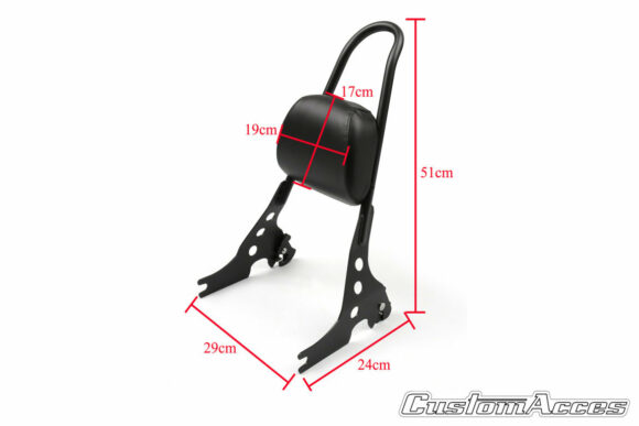 Sissybar Custom Acces Speed a sgancio rapido per Sportster - immagine 8