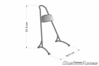 Sissybar Wild per Sportster - immagine 3