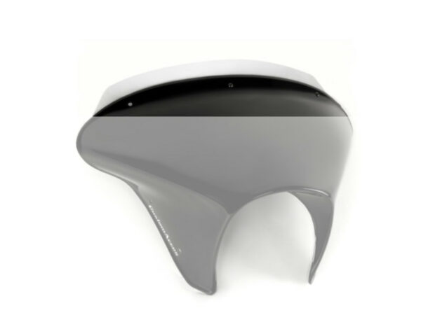 Plexiglass di ricambio per batwing SML - immagine 2