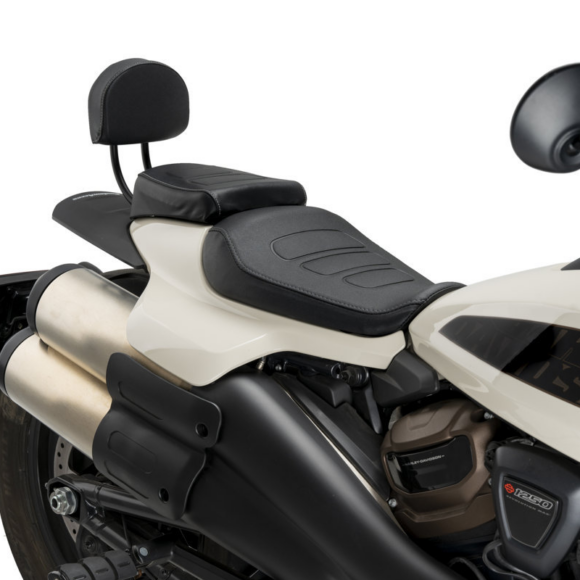 Sissybar passeggero per Sportster RH1250S - immagine 2