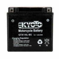 Batteria 14Ah AGM ad alte prestazioni per Sportster e Pan America