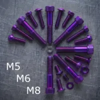 Bulloneria in ergal colore VIOLA- Varie misure